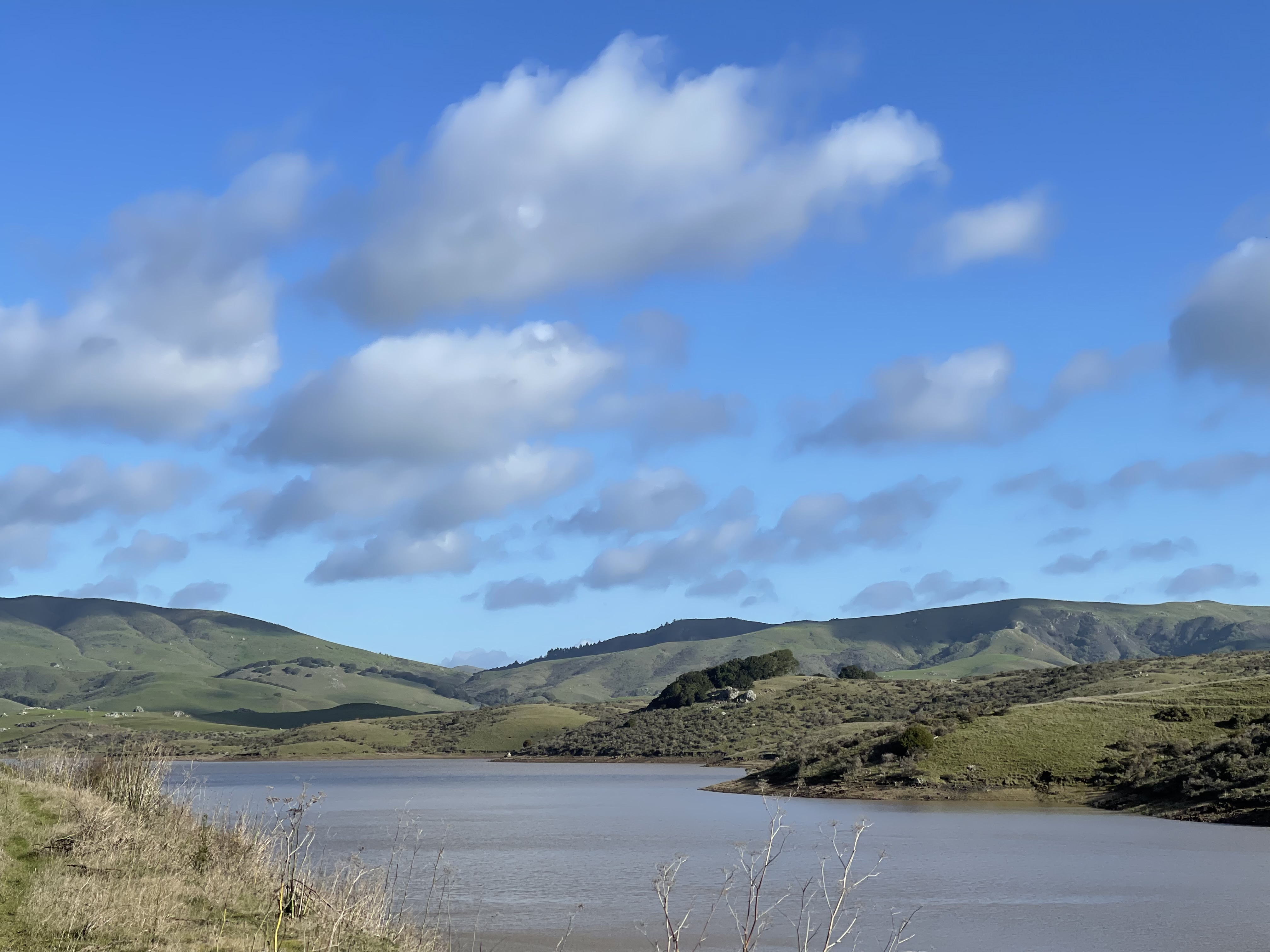 Nicasio Loop