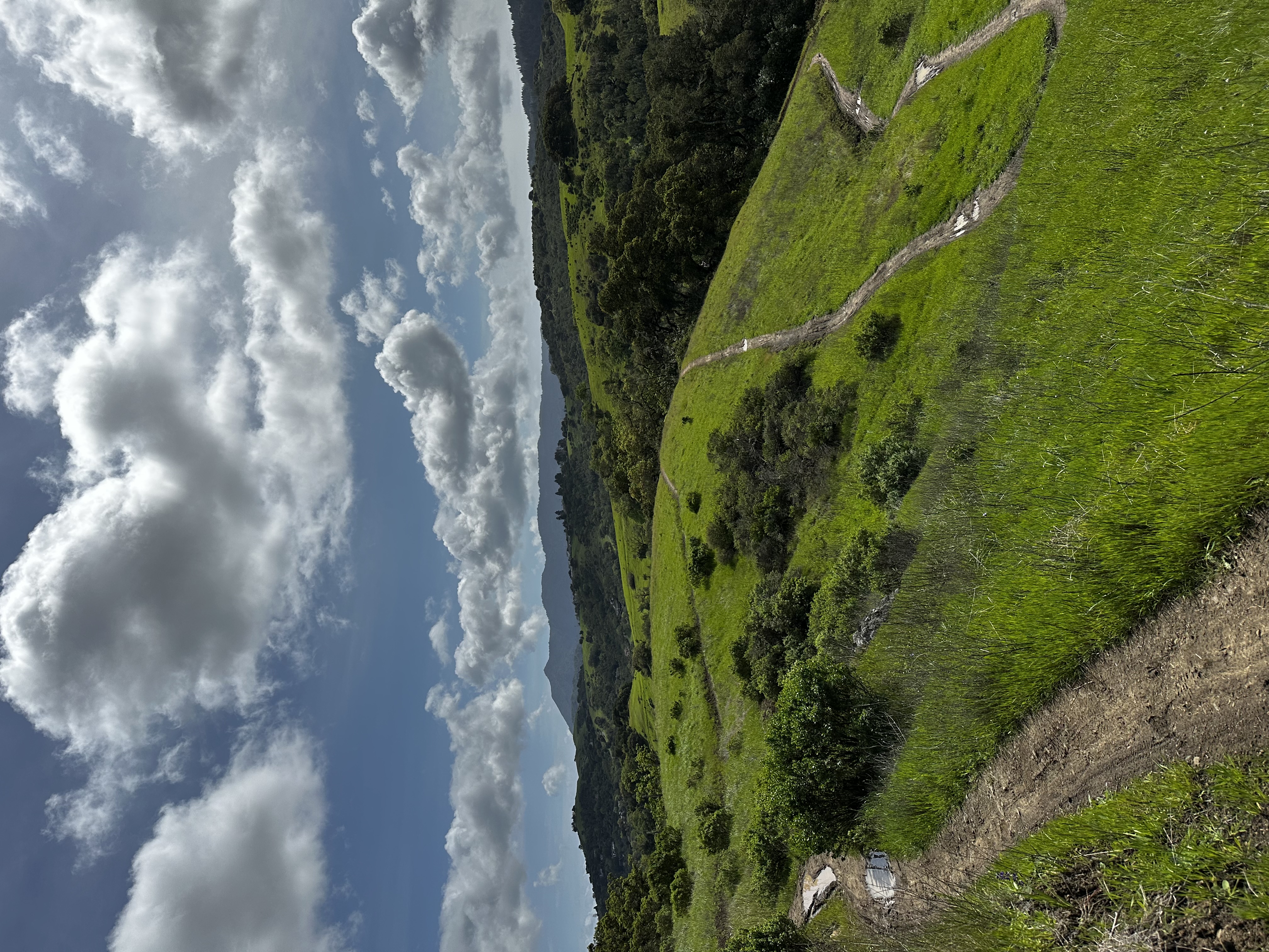Trail photo