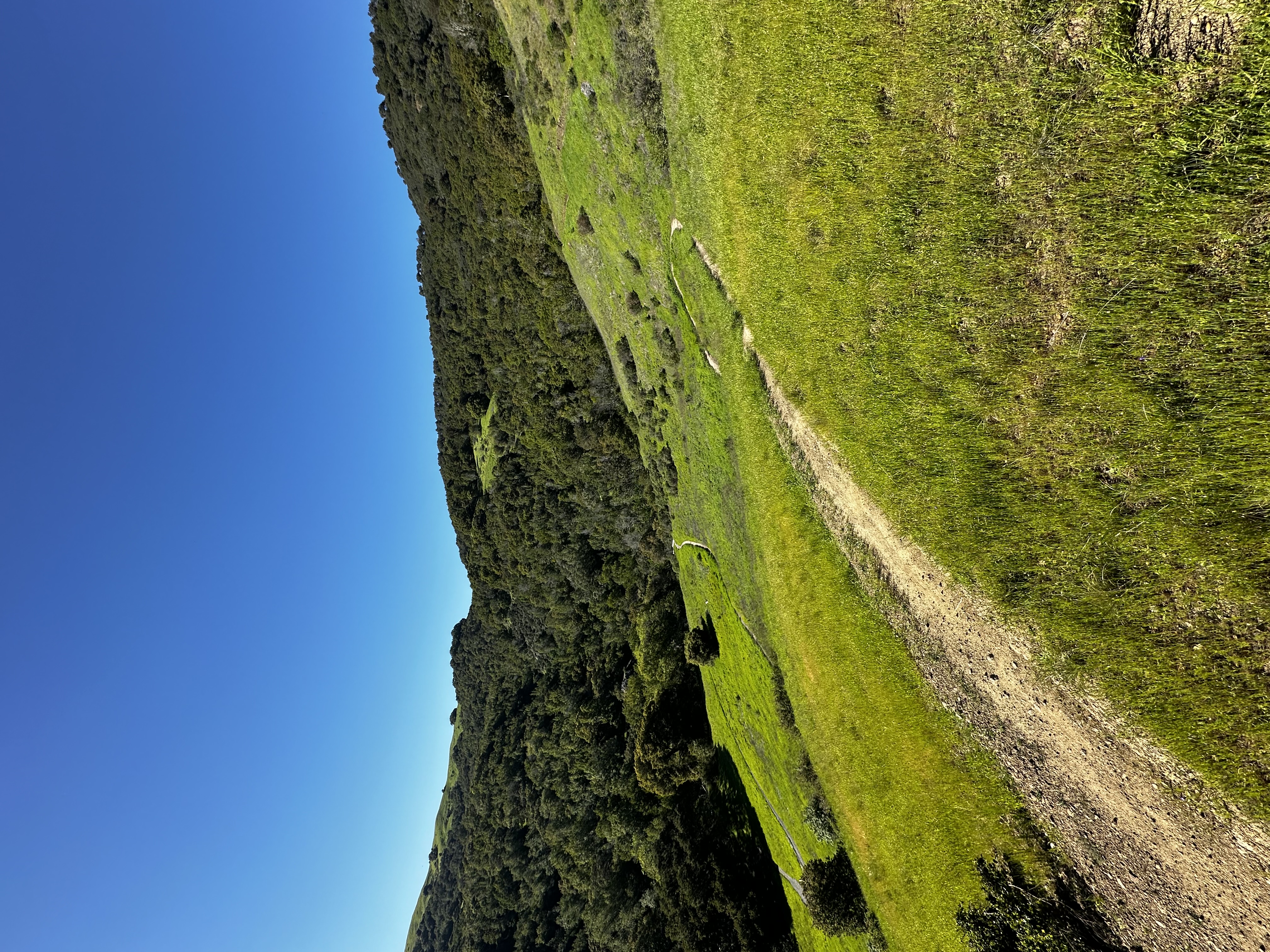 Trail photo