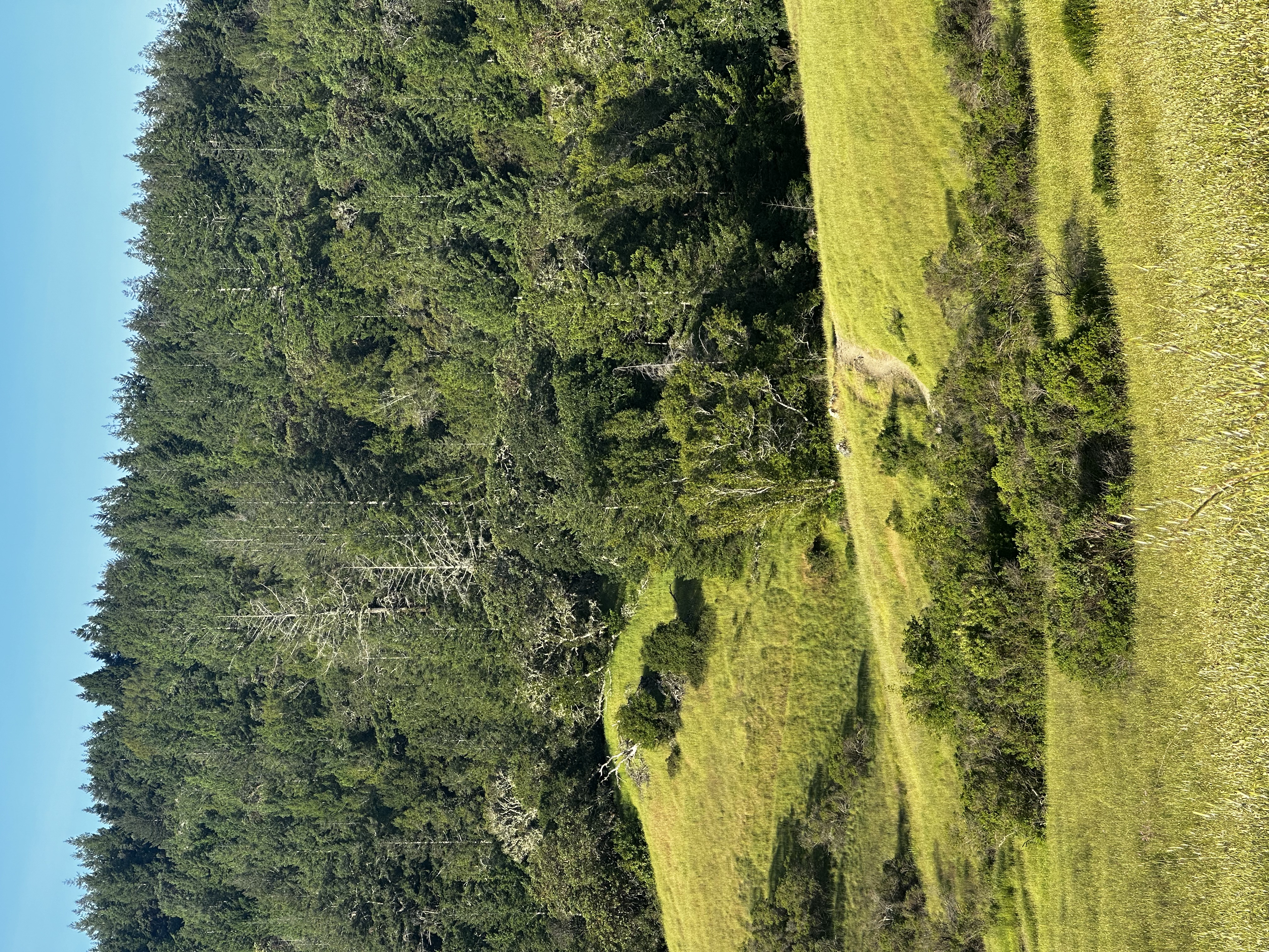 Trail photo